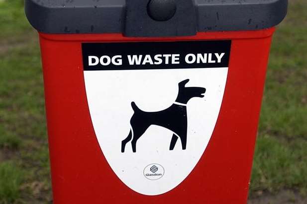 A Minster woman took action about the problem of dog mess