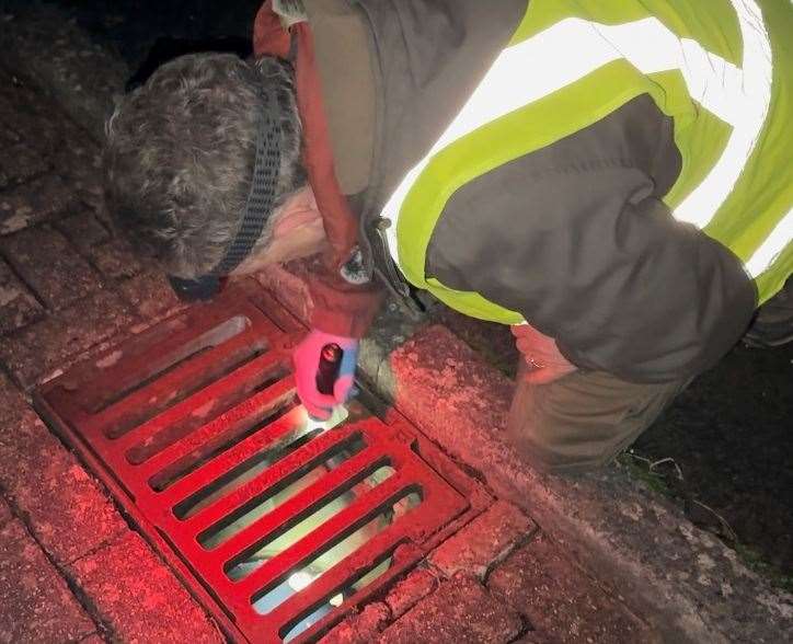Steve and the volunteers have to look down 60 drain holes during toad season