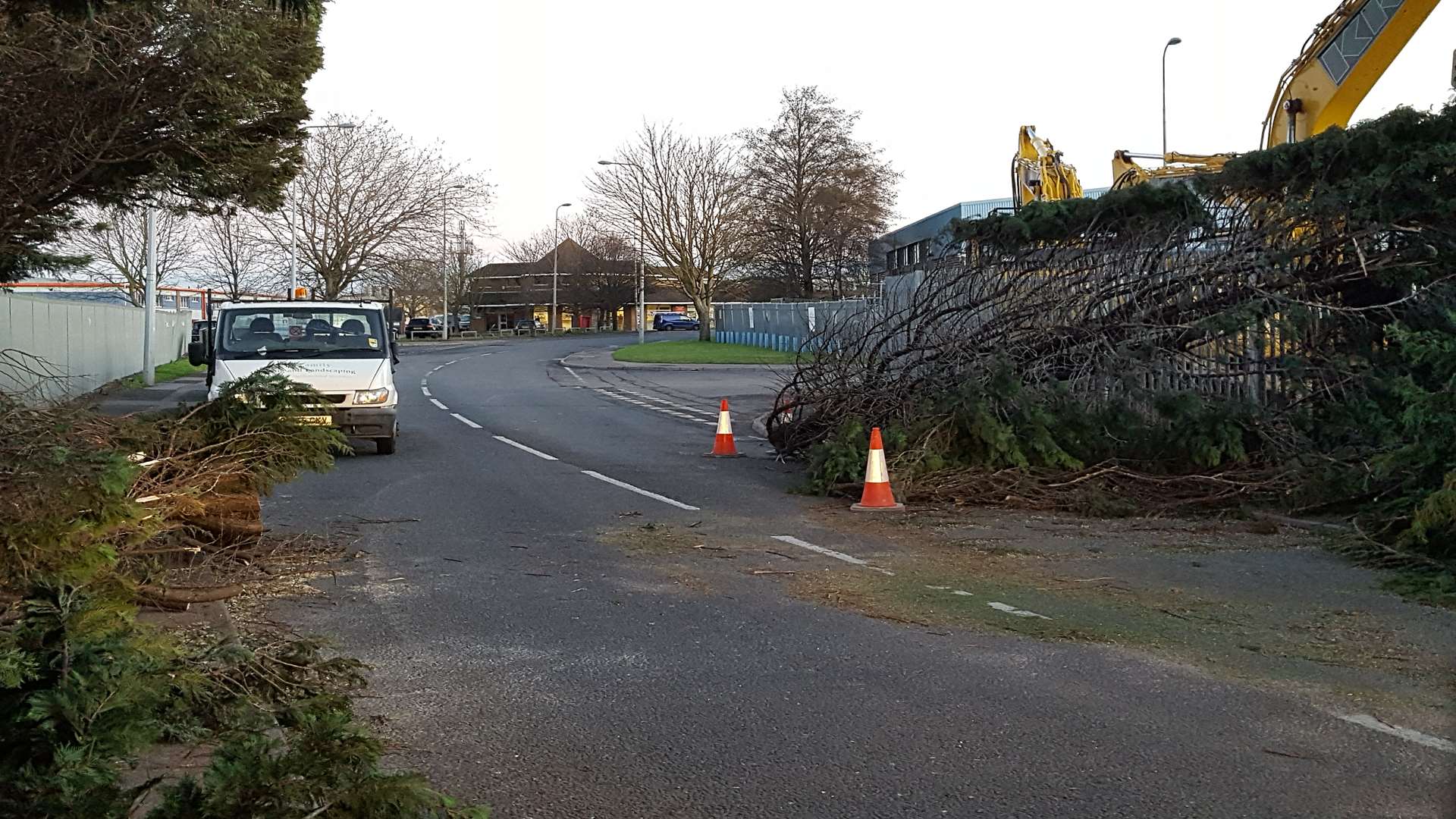 Trees blocked the road on Medway City Estate