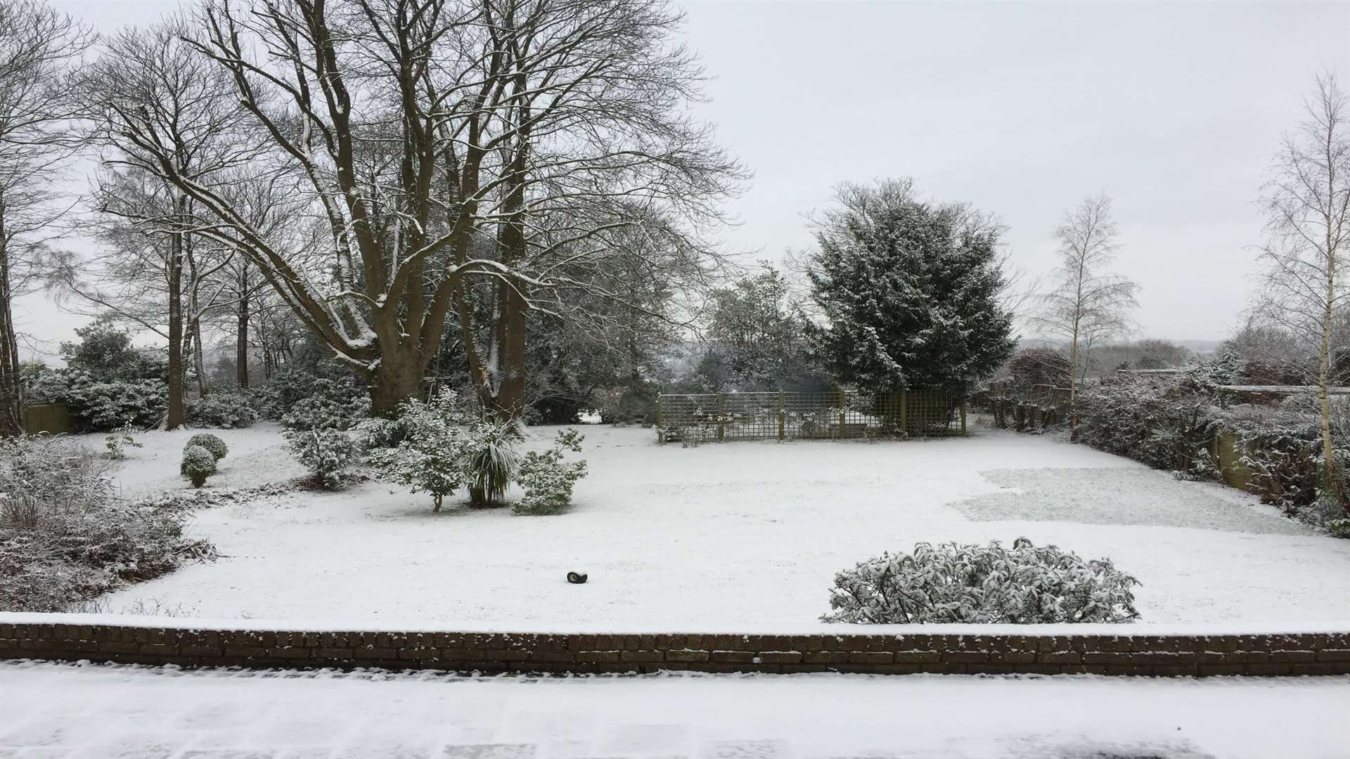 Snowy Maidstone! Picture: Rosina Packham