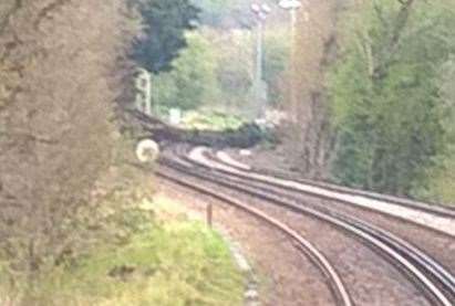 A fallen tree is causing disruption this evening. Picture: Southeastern (8399339)