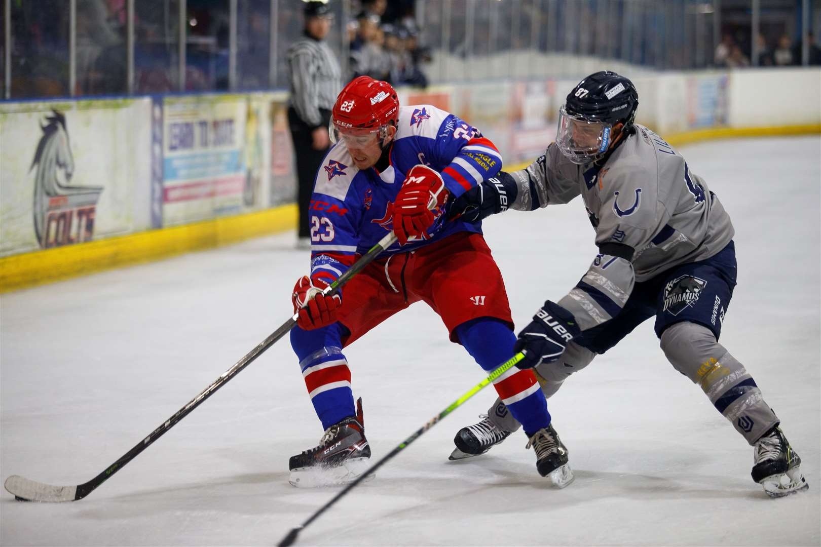 Invicta Dynamos’ captain Harrison Lillis is expected back in action this weekend Picture: David Trevallion