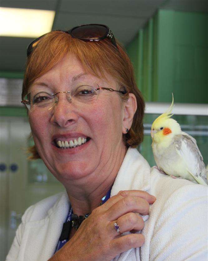 Ruth Simpson, deputy headteacher at St Simon Stock School with the lost bird.