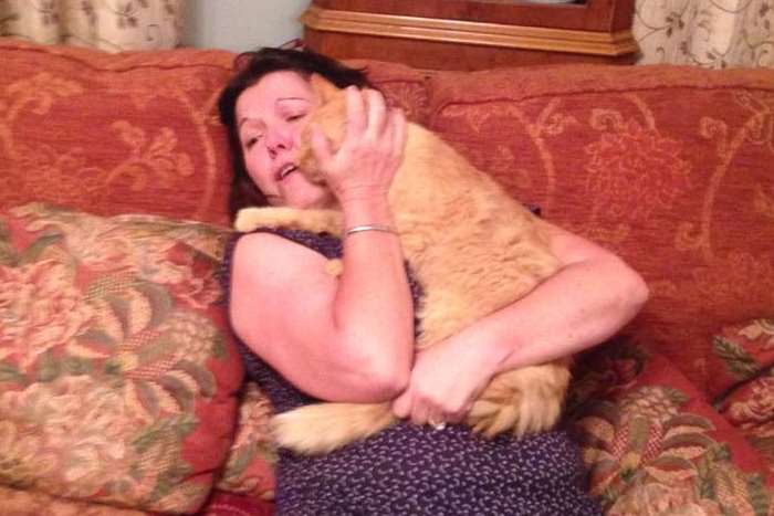 Tracy Brewster has been reunited with her beloved cat Marmie.