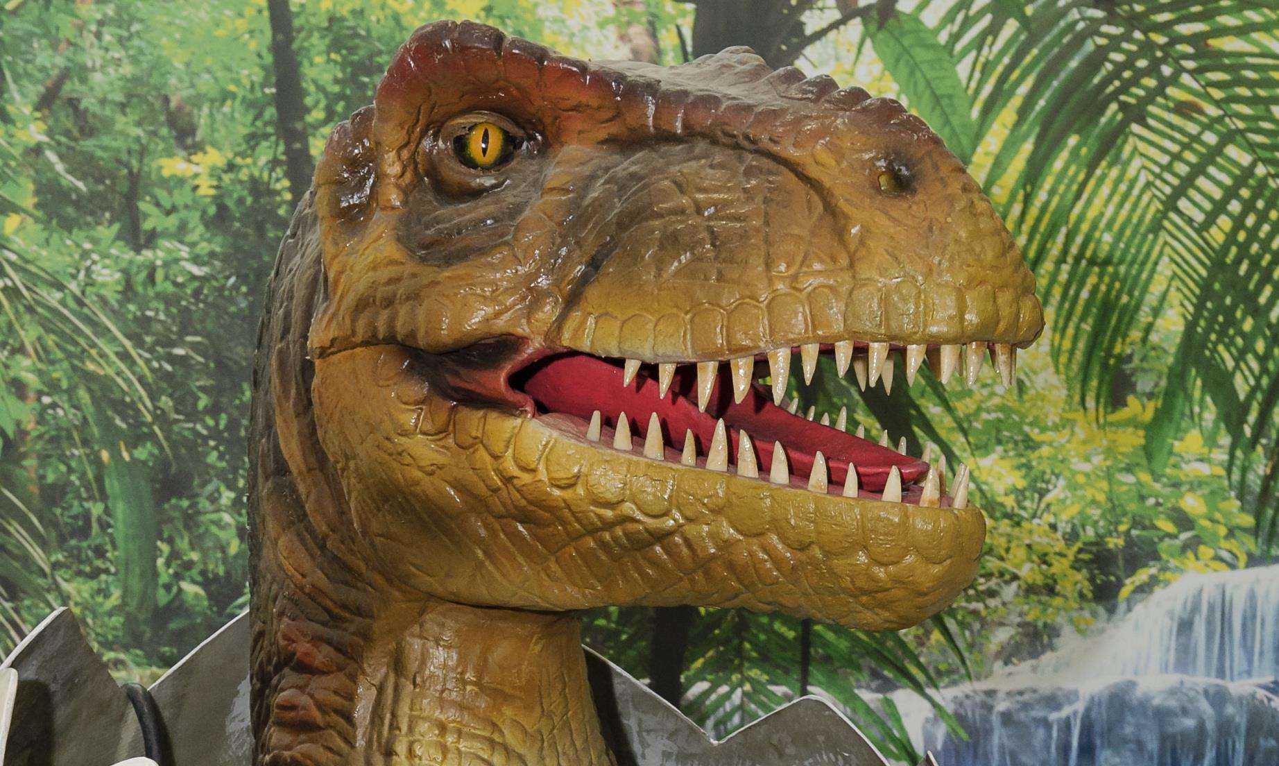 Scientist at University of Kent believe they have mapped the genome structure of dinosaurs like Tyrannosaurus Rex