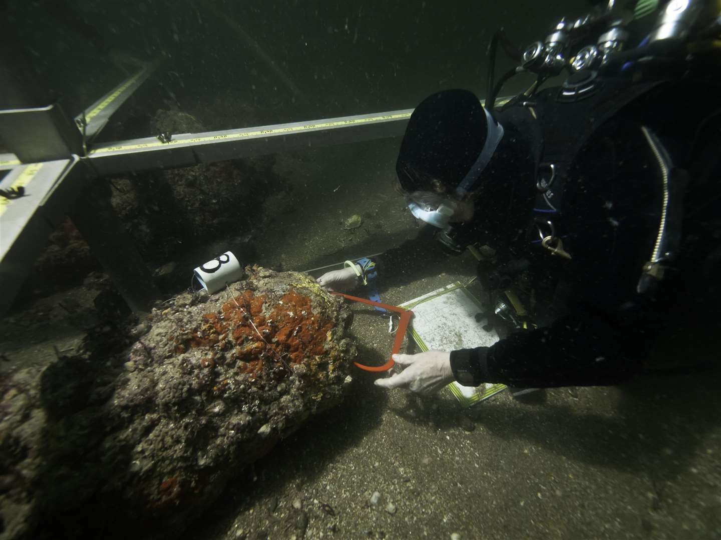 Jane Maddocks measuring items on the sea bed. Picture: Teddy Seguin