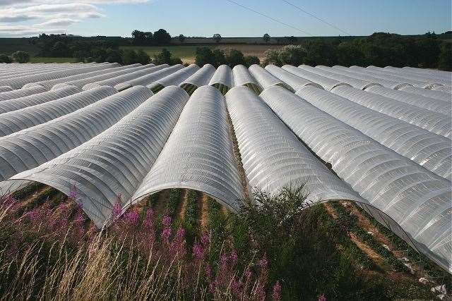Polytunnels are planned to cover a number of fields. Stock photo