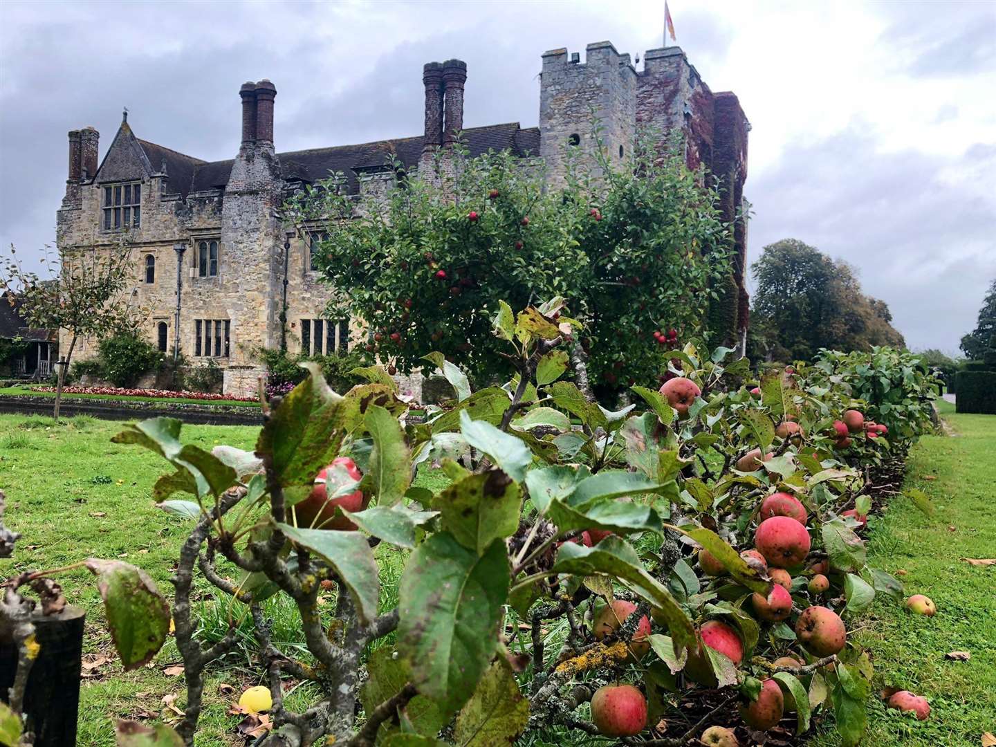 Hever Castle will be showing visitors how to collect seeds this autumn (19114078)