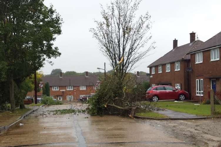 No one was hurt in the freak storm in Warren Wood