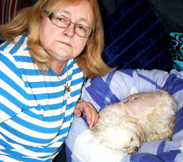 Dog owner June Piercey at home with Patsy, who was attacked