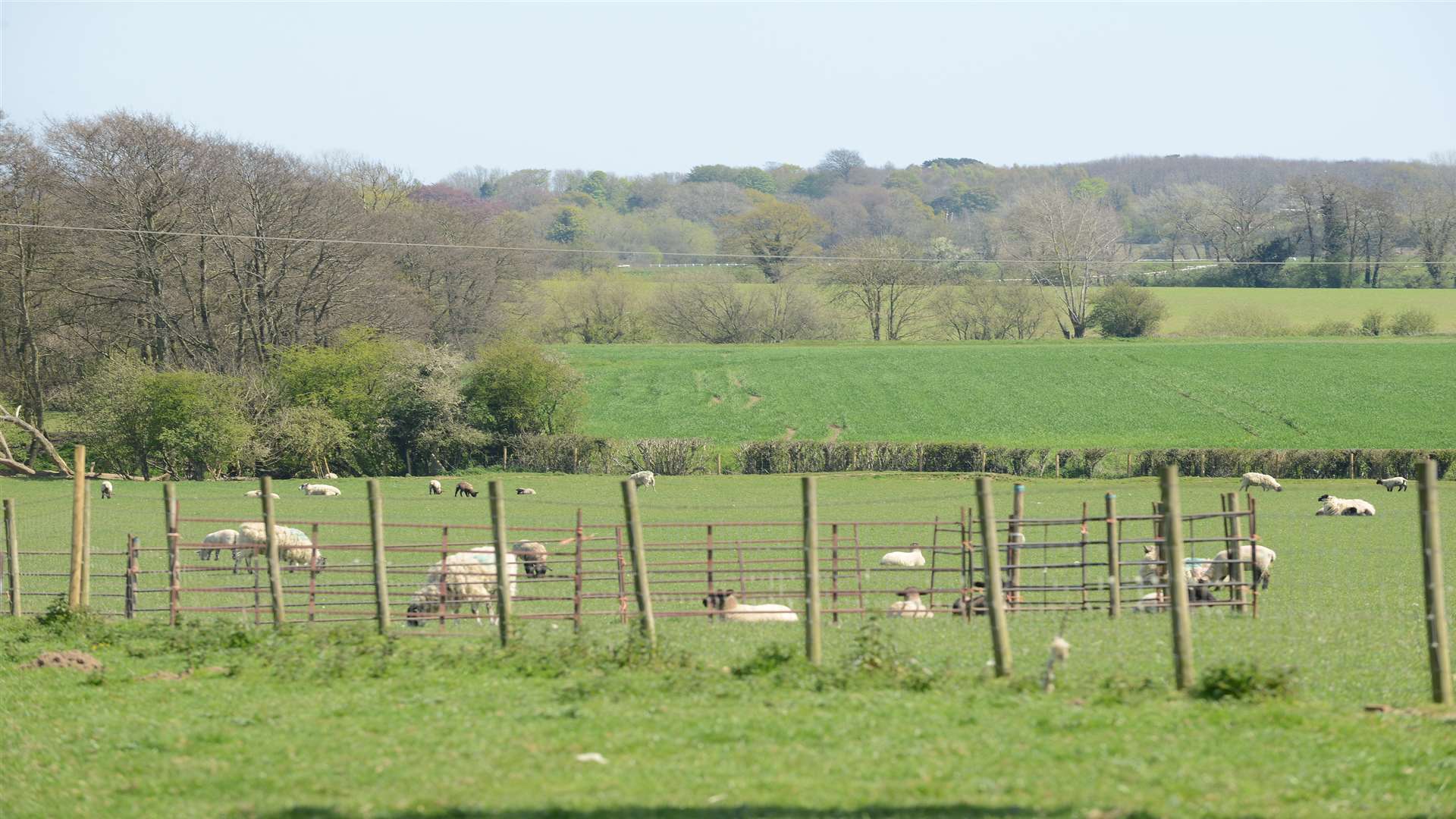 The site is currently used for farming
