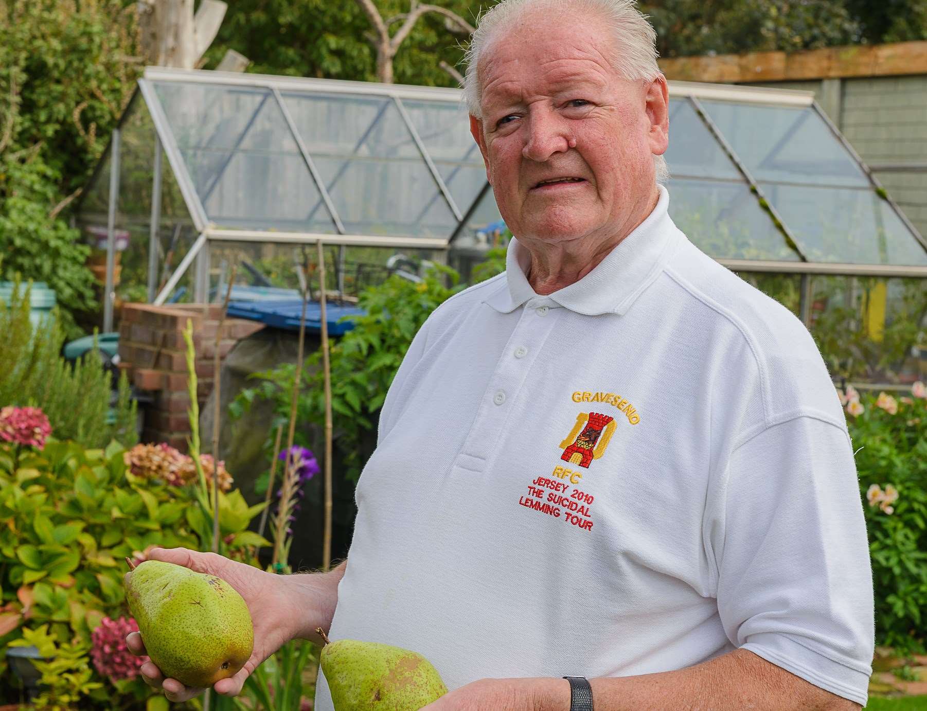 Terry Medes with the pear tree that he purchased from Aldi, Gravesend, Kent in 2015 for £3.49, which is now providing a bumper crop of large pears