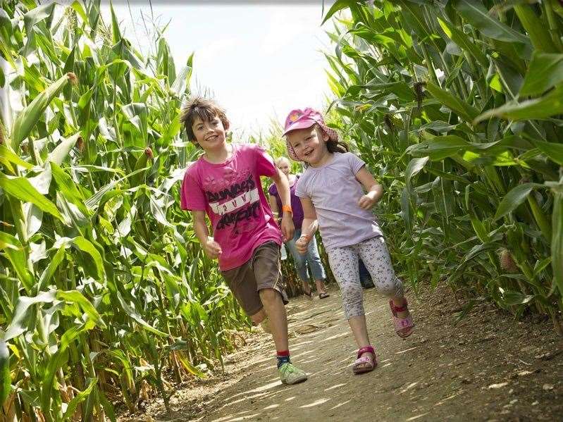 There's still a chance to catch a maize maze