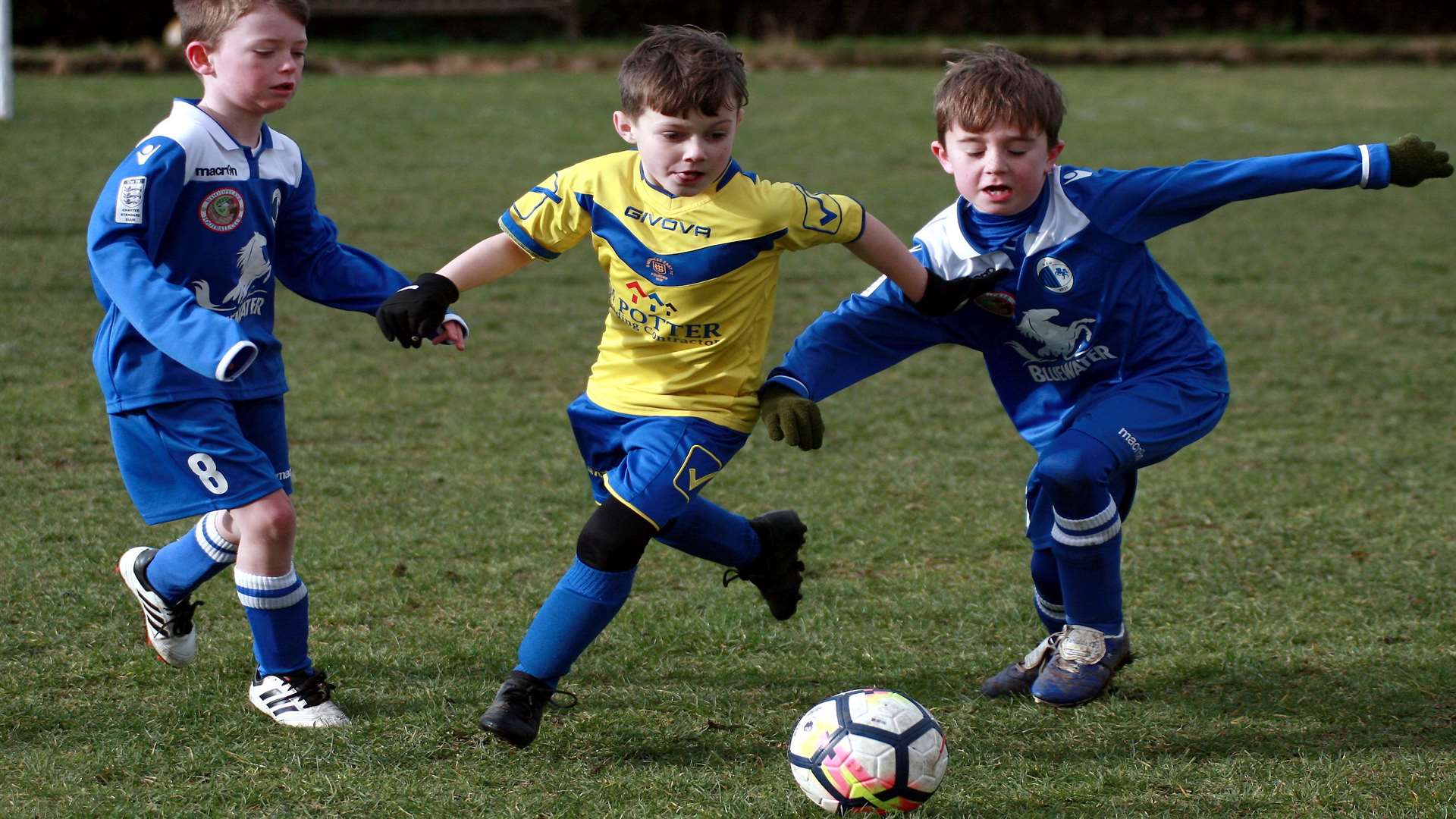 Sheerness East under-8s (yellow) take on KFU Woodpecker United under-8s Picture: Phil Lee