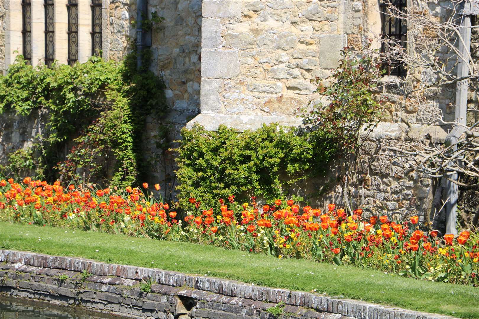 This year the tulip display is based around numbers and maths symbols. Picture: Hever Castle and Gardens