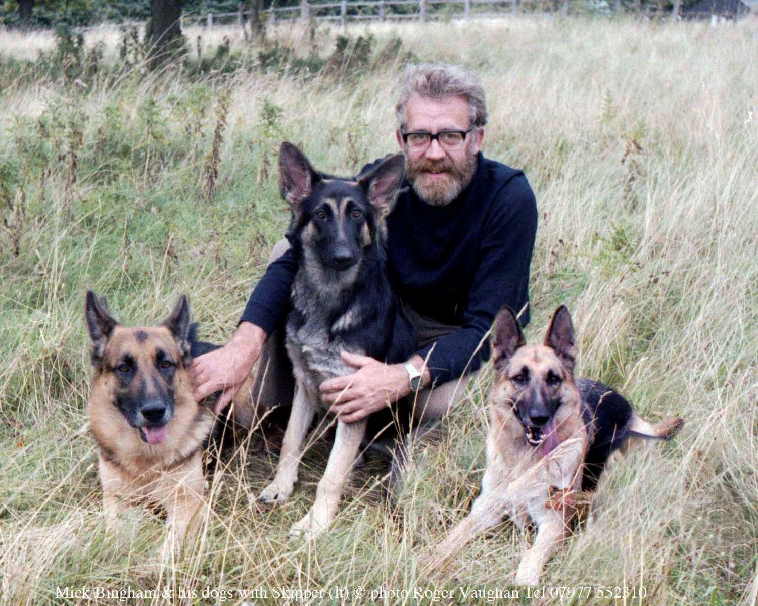 Mick Bingham and his dogs. Picture: Roger Vaughan