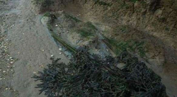 Rising tides and continual coastal erosion is leading to the exposure of human remains at Deadmans Island. Picture: BBC
