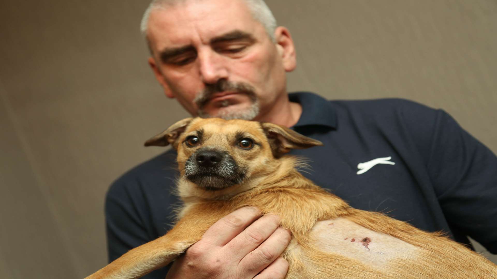 John Ellett's dog Lilly was badly injured when she was attacked by two dogs