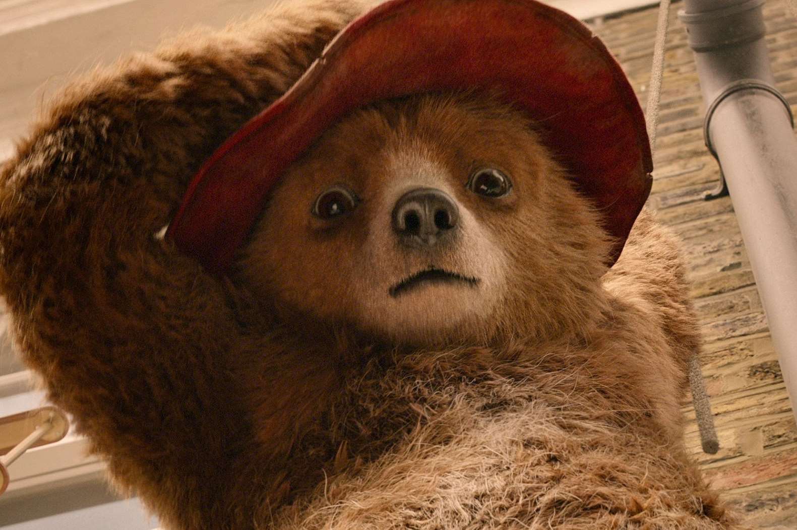 Paddington Bear (voiced by Ben Whishaw) Picture: PA Photo/StudioCanal/Jay Maidment