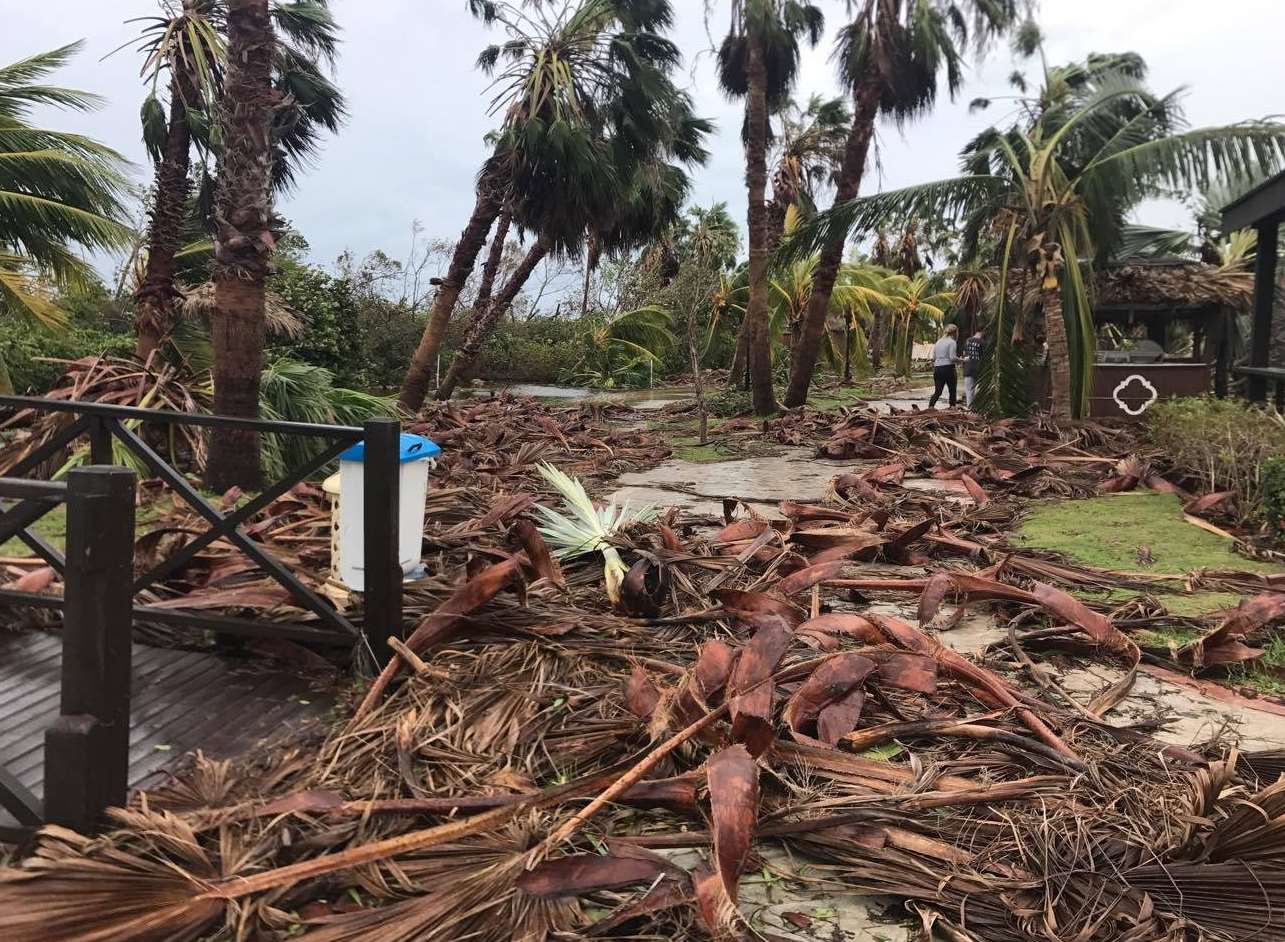 More than 50 people were killed by hurricane Irma