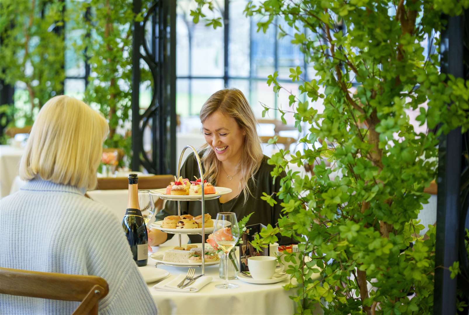 The afternoon tea includes sweet and savoury snacks, entry to the park and a complimentary gift to take home. Picture: Aspinall Foundation