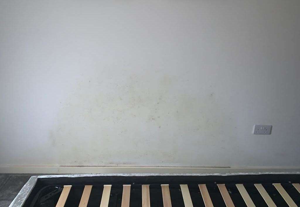 Internal walls are regularly impacted by damp