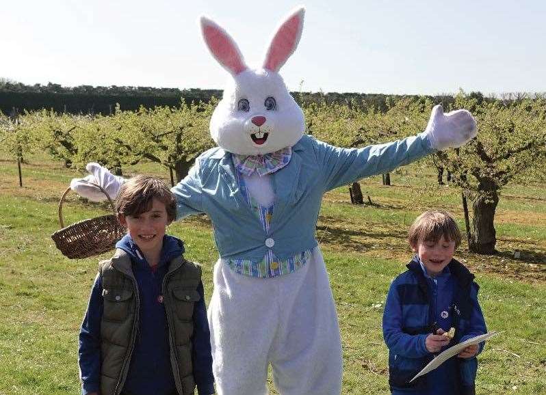 Explore the Brogdale orchards on the Easter trail. Picture: Brogdale