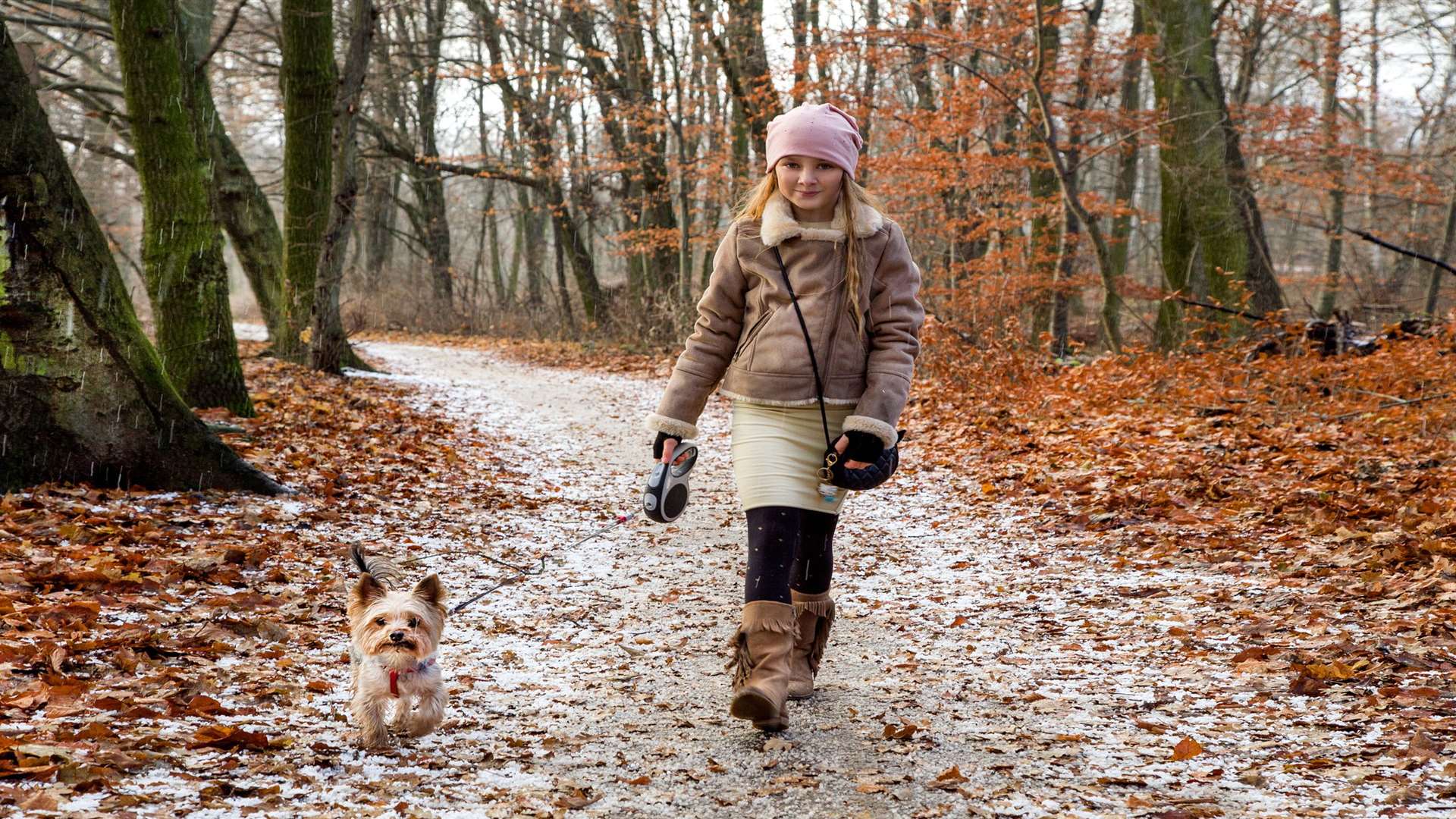 Take the dog on a family walk