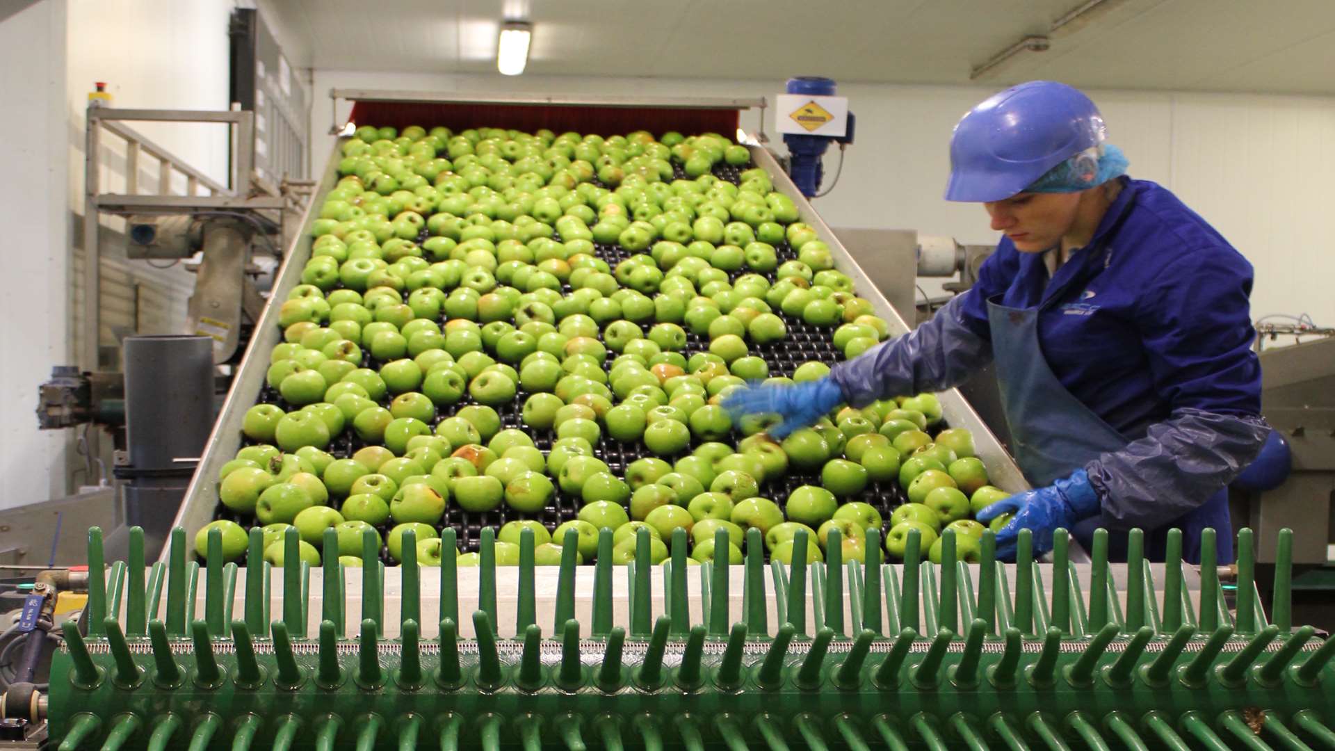 Fourayes Farm is the UK's largest grower and processor of Bramley apples