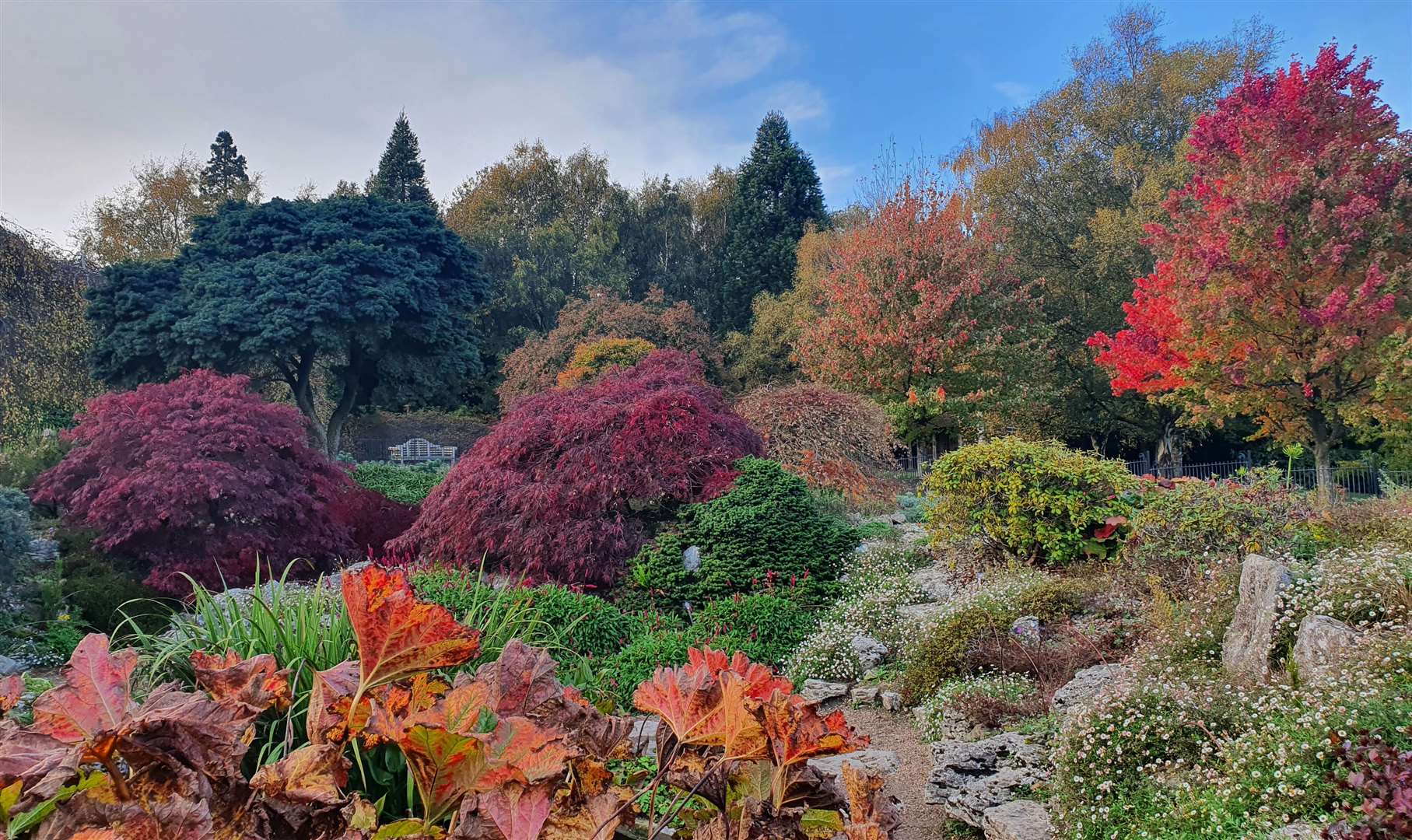 Enjoy the autumnal colours at Emmetts Garden. Picture: National Trust Images / Nick Dougan