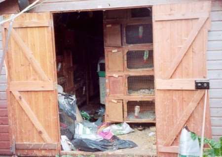 The grisly shed at the former Gillingham home of Susan Tytheridge where small animals were left to starve