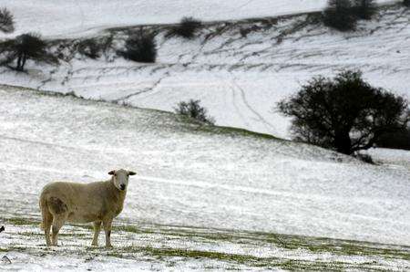 Wintry scenes along on Farthing Common between Canterbury and Folkestone
