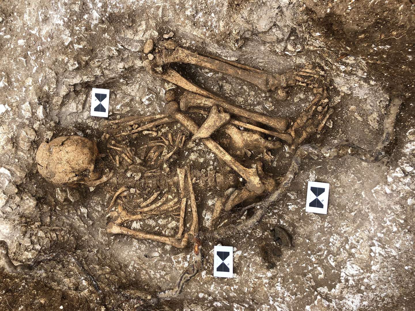 One of the skeletons found at Aylesham (29011935)
