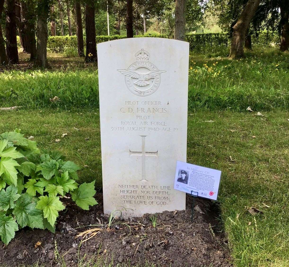 Pilot Officer Colin Francis is buried at Brookwood Cemetery