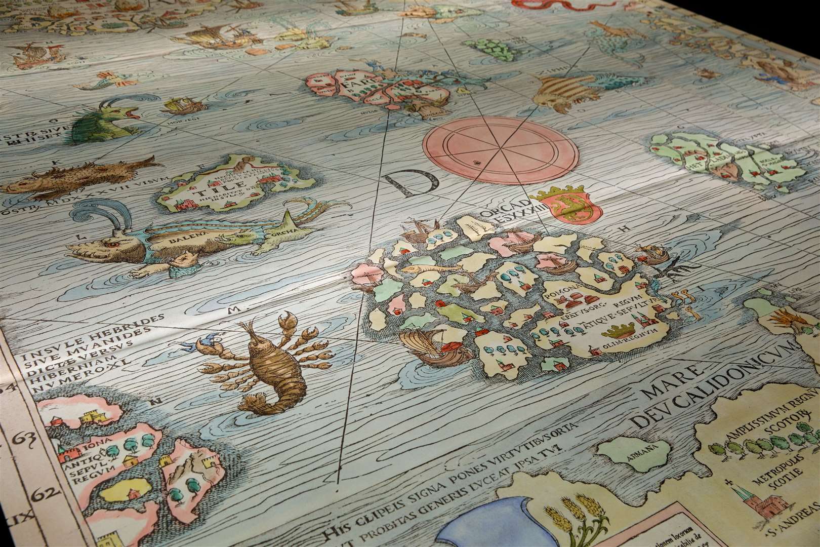Maps of oceans all over the world have depicted dangerous sea creatures throughout history. Picture: Kirstin Prisk