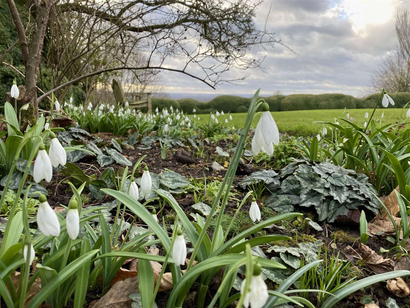 Enjoy the view from Knowle Hill Farm. Picture: National Garden Scheme