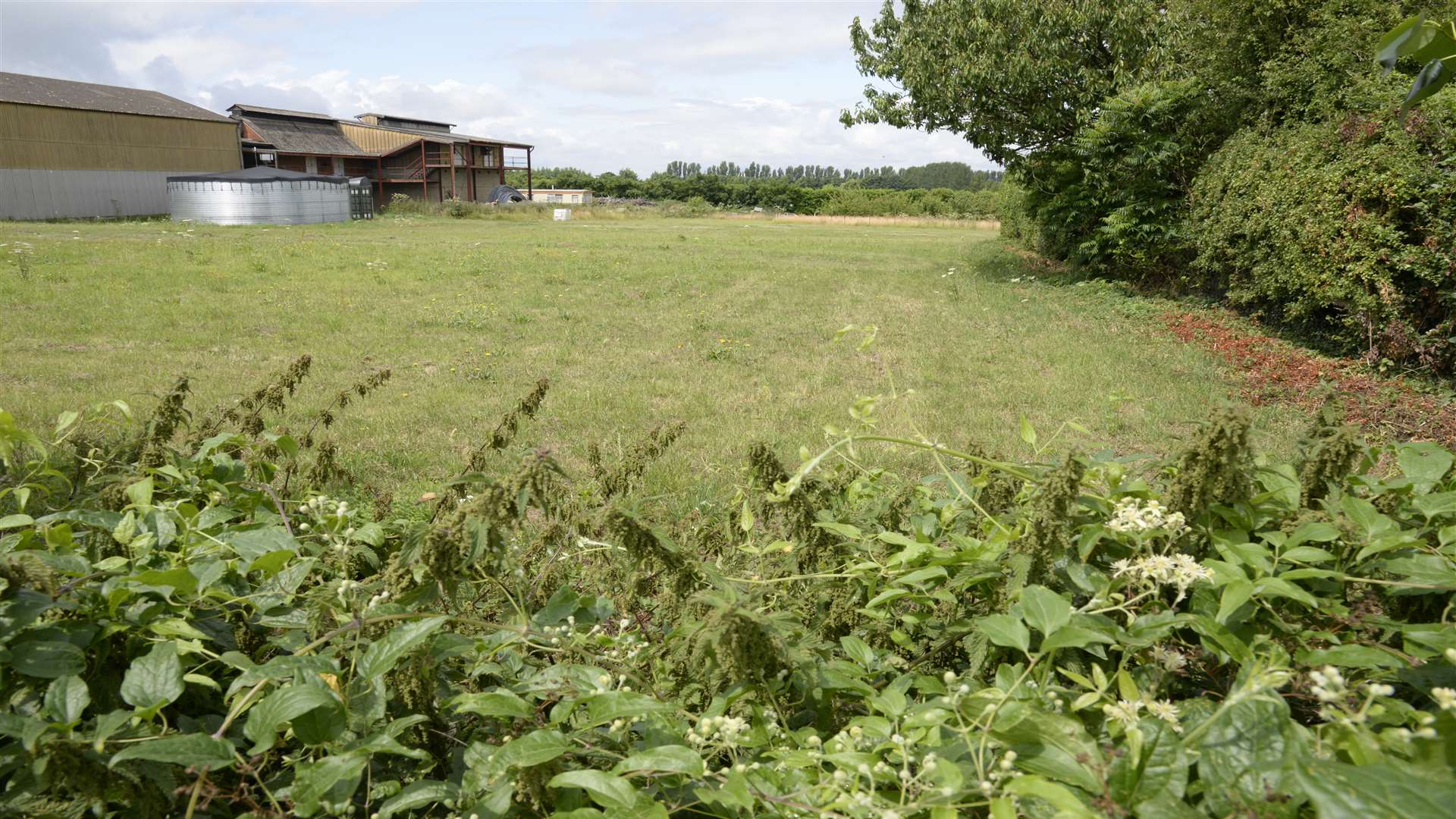 The site for a proposed cold store at Owens Court Farm