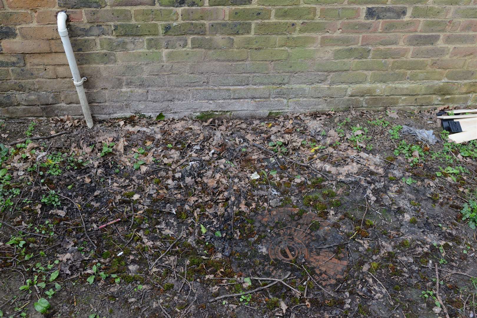 The drain outside Sam and Lee Clayson's kitchen, which repeatedly backs up with sewage