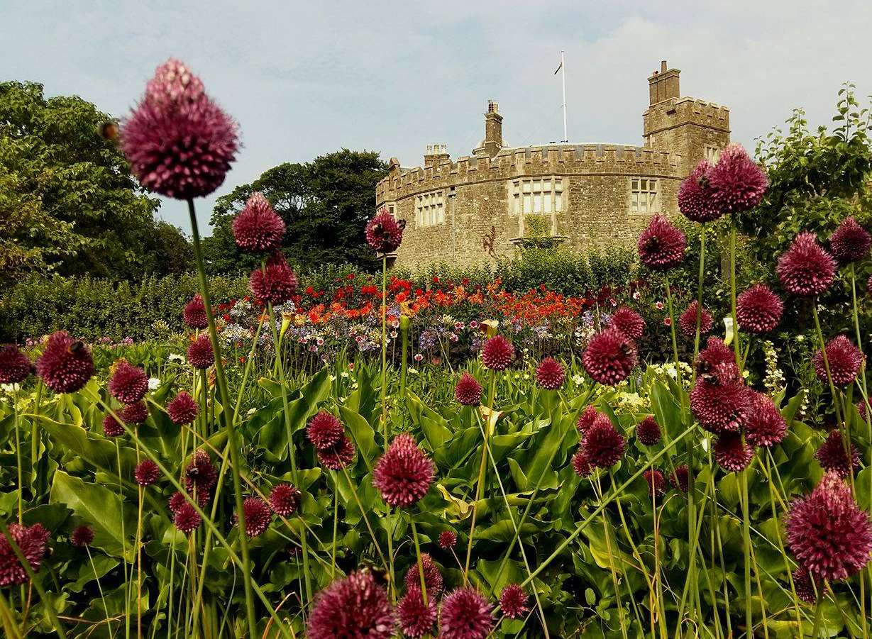 Walmer Castle in all its glory. Photos provided with the permission of Rachel Clark and Malgosia Lonsdale