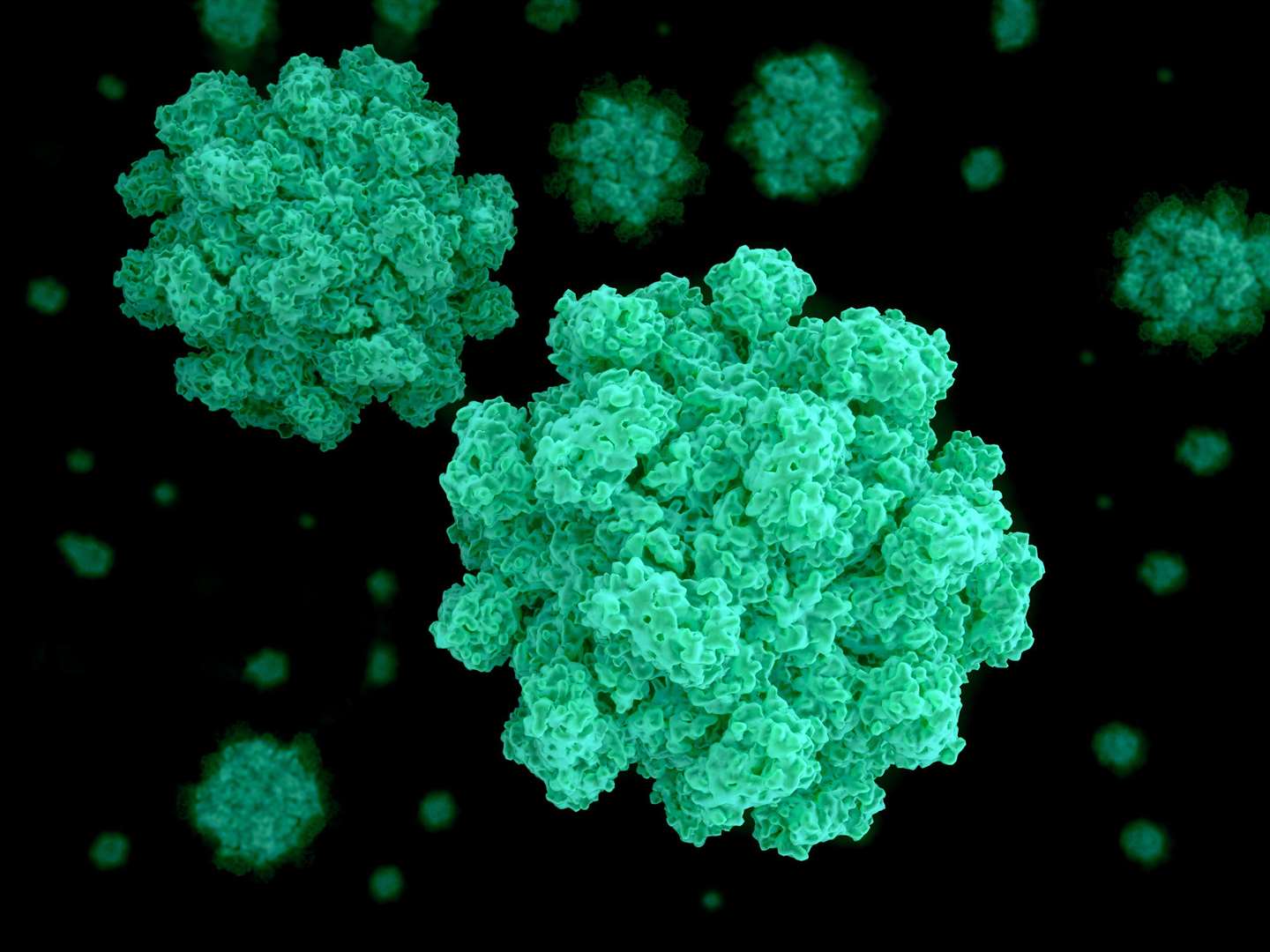 Norovirus was the cause of the illness outbreak