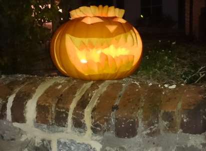 A very happy pumpkin! Sent in by Fiona Reynolds