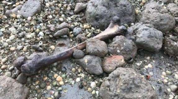 Bones are scattered along the landscape. Picture: BBC