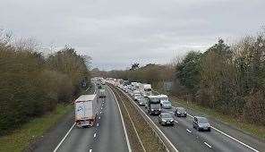 There was traffic on the M2 near Faversham while the animals were brought under control