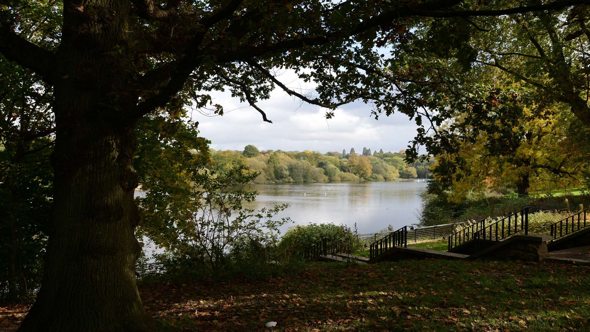 Mote Park is the setting for the new food festival Picture: Gary Browne
