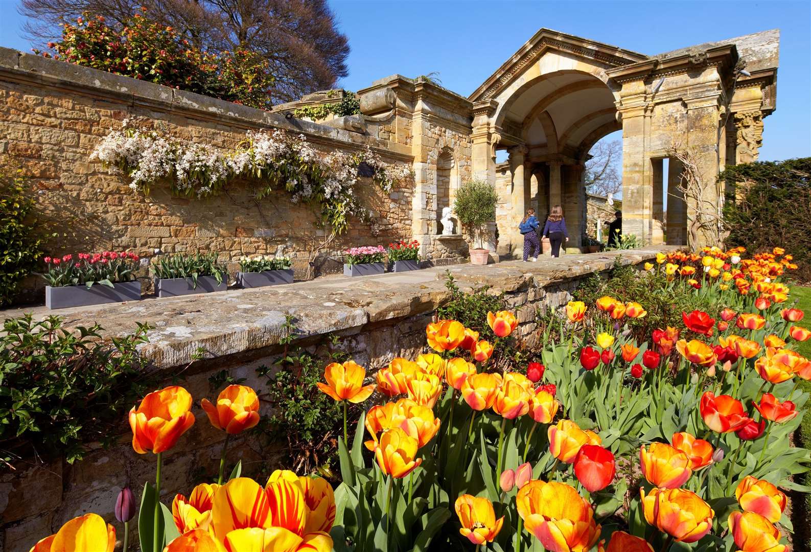 Discover the fascinating varieties of tulips throughout the magnificent estate. Picture: Vikki Rimmer