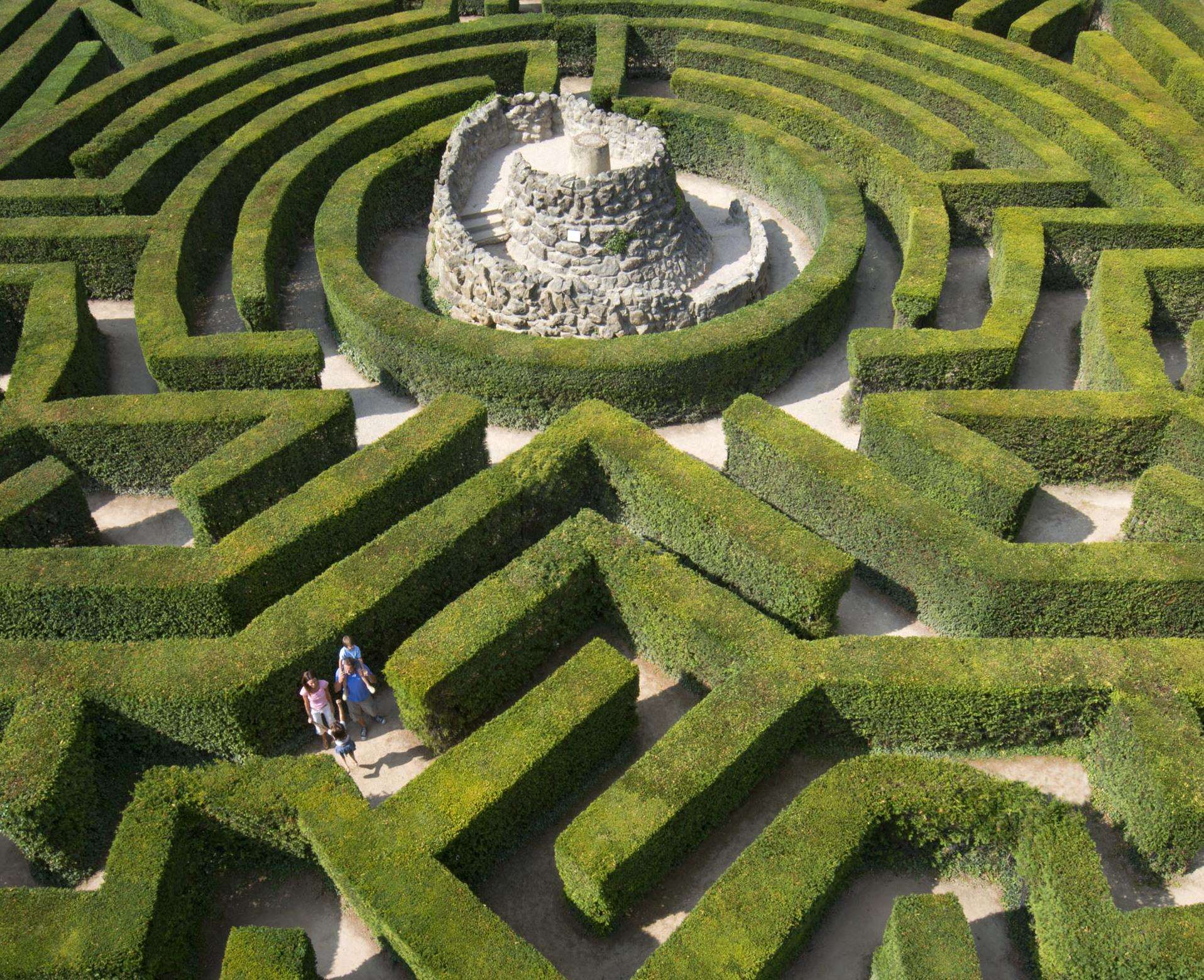 Leeds Castle's maze Picture: PeteSeaward