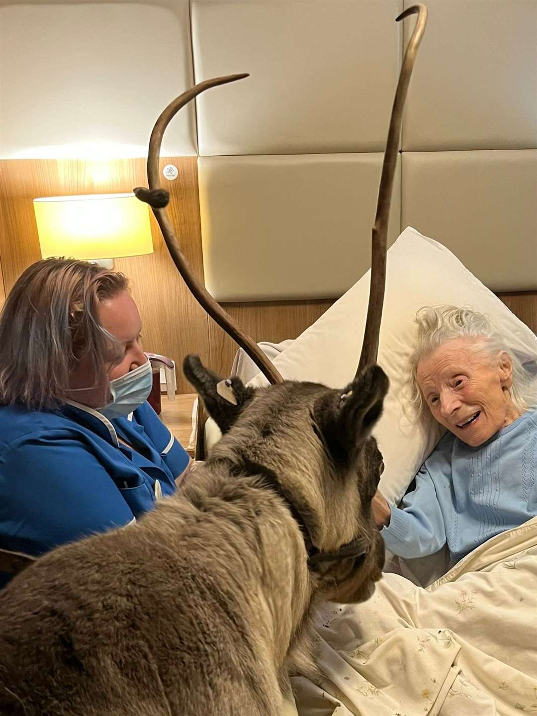 Elsie Hodge, 95, got a surprise visit from two reindeer. Picture: Heathfield Court care home