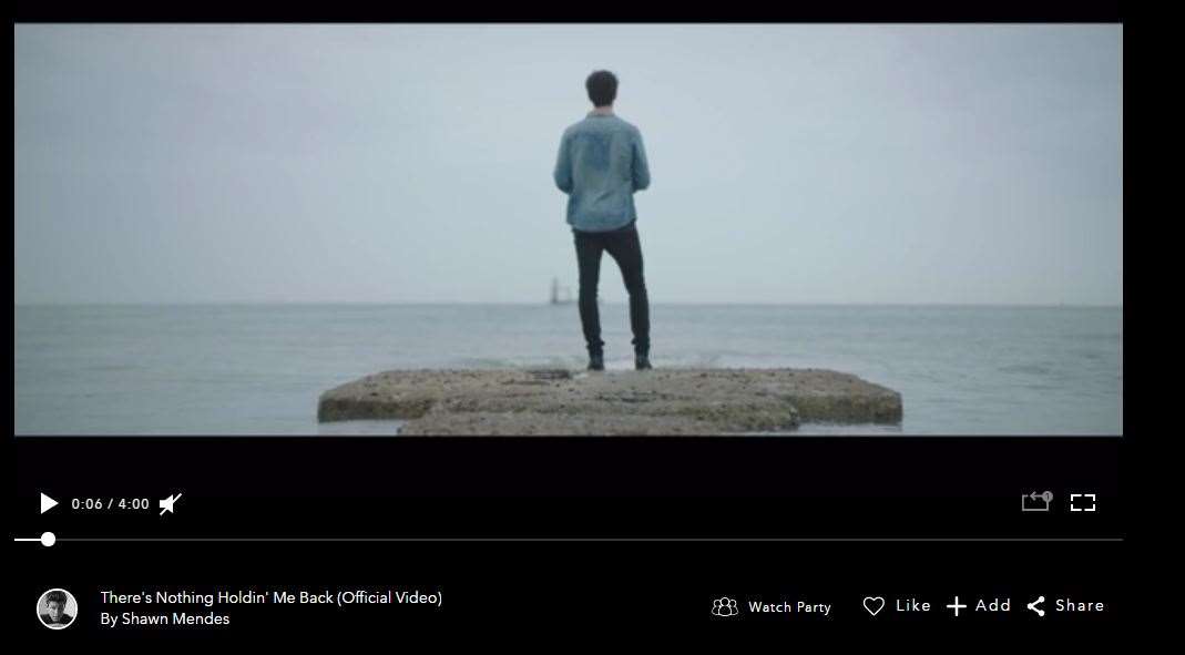 Shawn Mendes used the popular bay in his video. Pic: vevo