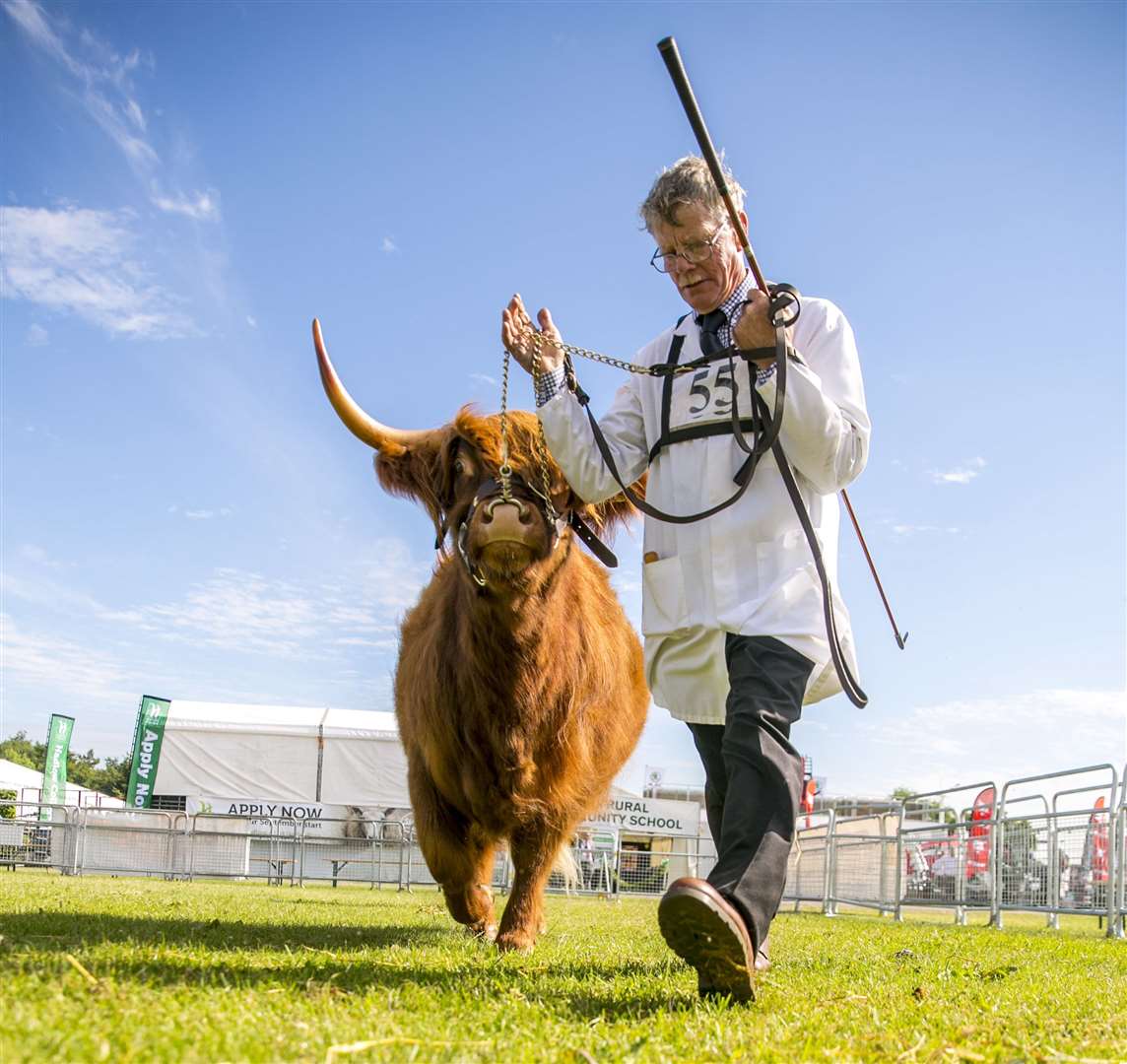 Your school could win a day out at the Kent County Show