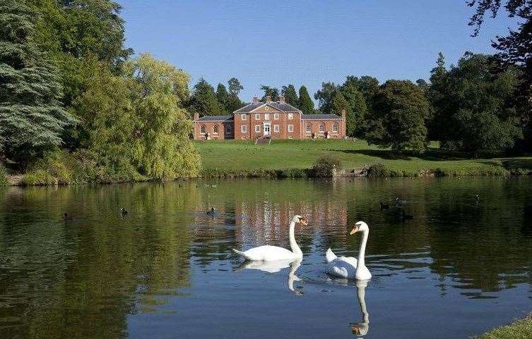 Swans on your doorstep in Penshurst. Picture: Rightmove